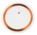 RFID Disc Tag Legic Prime MIM1024